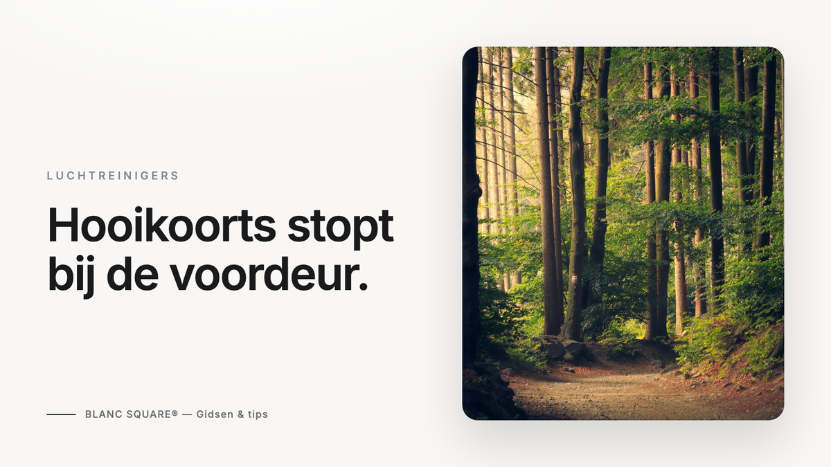 Hooikoorts stopt bij de voordeur — Blanc Square gids over luchtreinigers tegen pollen