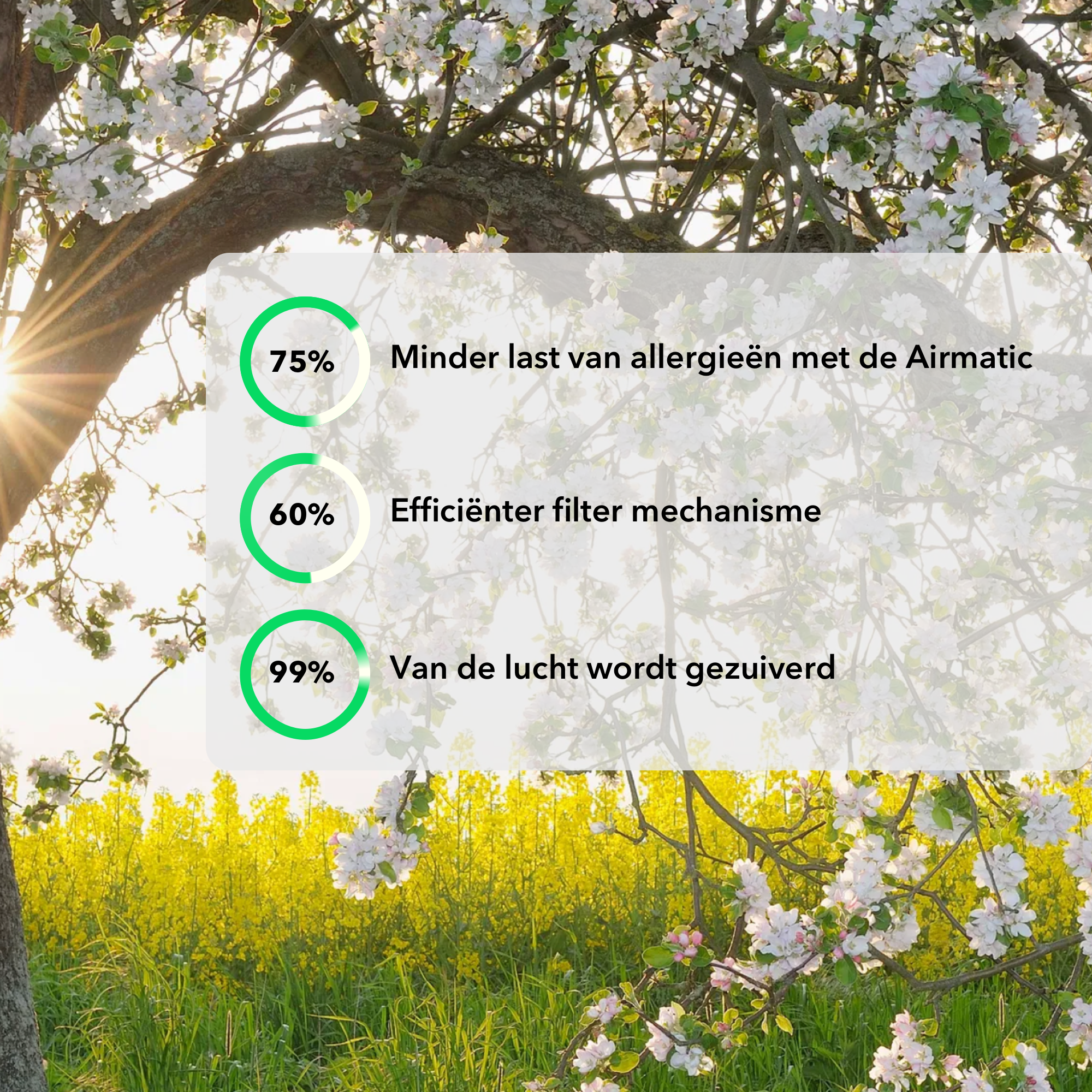 BS® Luchtreiniger - Air Purifier met 2 vervangbare HEPA filters + koolstoffilter - Werkt 99% tegen huisstofmijt, hooikoorts, allergie, stof - 3+ standen